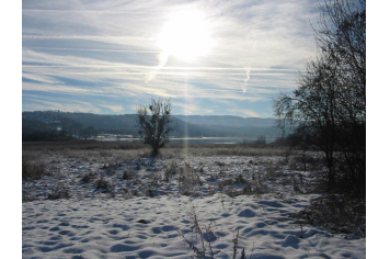 en hiver Mme MOREL-BAILLY Hélène